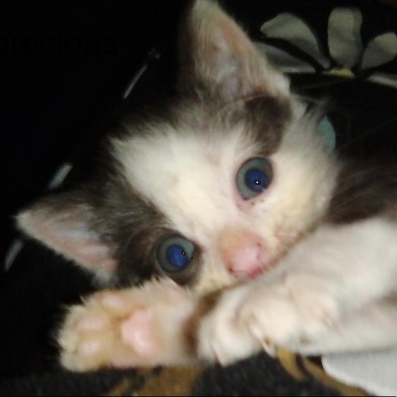 Meet your Posher, Dwana - Picture 6 of 16